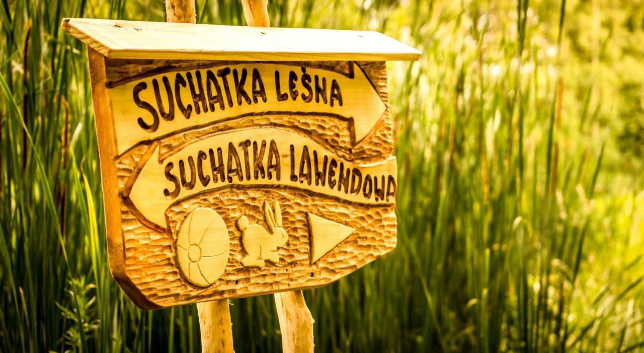 Miedziana GóraSucholand别墅 外观 照片